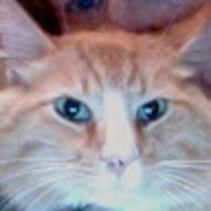 Meet your Posher, J.